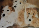 by Dawn Moir-Harris 