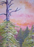 by Caron Carlyon