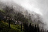 by Jonathan Dakin