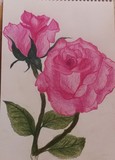 by Zeyra Art