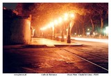 by Oscar Pinto