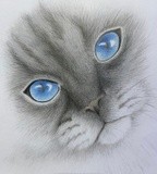 by Regina Malyszko