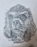 by Ariella Belau