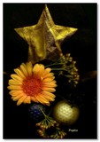 by Pepita Selles