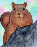 by Nancy Woolweber