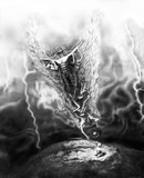 by Nathan Jones