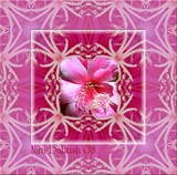 by Nira Dabush