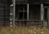 by Patrik