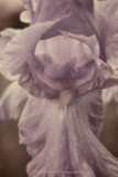 by Kimberly Tilley