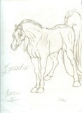 by The Black Stallion