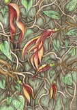 by Teri McGee
