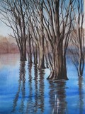 by Tanya Antimirova