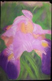 by Trish Gename