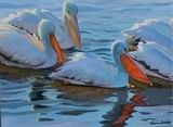 by Evonne Bishop