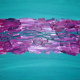 by Jennifer Collinson