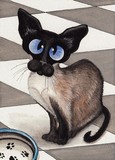 by AmyLyn Bihrle
