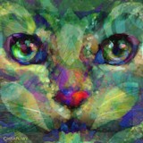 by Lynne Chrapliwy