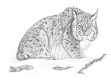 by Steffi Kunkel