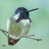 by Heather Ward