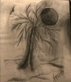 by Jacqueline Evans