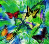 by Mildred Ann Utroska