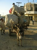 by Raza  Hasan