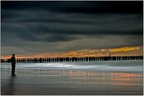 by wim denijs