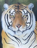 by Sharlene Bruce