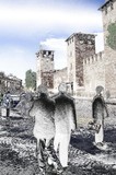 by gianantonio zago marino