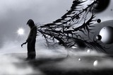 by mariusz zawadzki