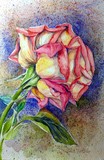 by Anna  Lo Bello