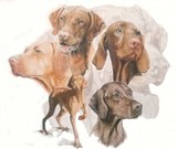 by Barbara Keith