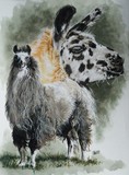 by Barbara Keith