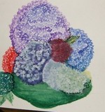 by merle ann johnson