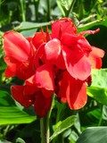 by Heli Aarniranta