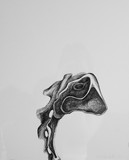 by Emily Vanderlaan