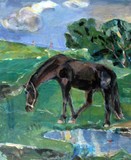 by Likana van Wylick-Ristic