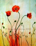by Rose Sciberras