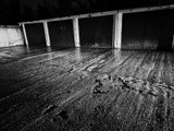 by István Török