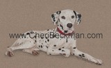 by Cheri Beckman