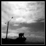 by reza ghasemizarnoosheh