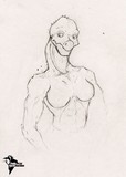by Yaniv Pe'er