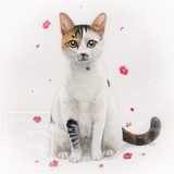 by Andhika Wijaya