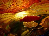 by dana everhart