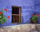 by Sandra Jensen