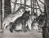 by Tanya Jensen