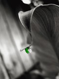 by Stephanie Meldgaard