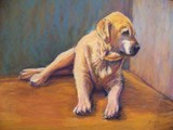 by Joan  Wulff
