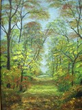 by Ferenc Ila