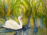 by Lianne Juster